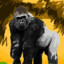 gorillaking