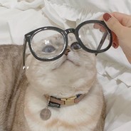 一口奶茶也没有了