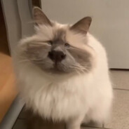 Keepix - steam id 76561199208160596