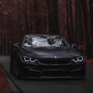 adelinrege - steam id 76561199552859975