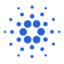 Mr.Cardano