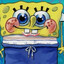 sponge