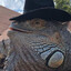 Iguana Don