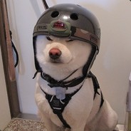 Sarbtheone