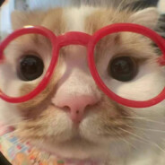 这厨房没我不行