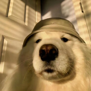 狗熊岭第一神枪手