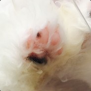 有脾气就是任性！