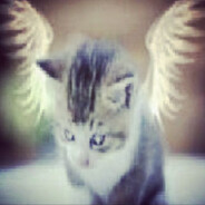 я миллионер да я б