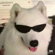 Big Avatar