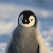 一只修企鹅