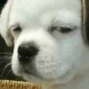 你吃啥呢我也想吃