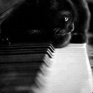 四条狗选不出一个前排