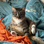 nell