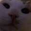 Stinkie