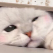 芙软