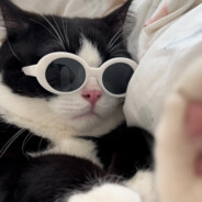 网恋被骗三千块