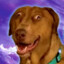 Ruh Roh Raggy