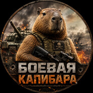 боевая капибара’s Steam avatar