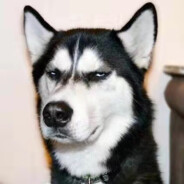 蜜桃味的黑狗子