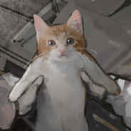 网恋秀牛被录屏