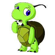 铁面无私双面龟