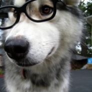 88号技师为您服务