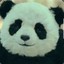 MotherFukinPanda
