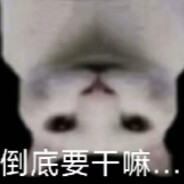 到底要干嘛......