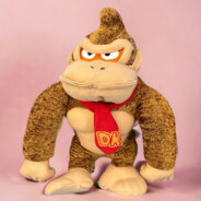 photo of donkey kong