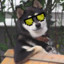 ♫LvlsUp