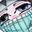 Dude Steam avatar