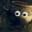 Angry Boo Animal
