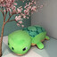 turtlelover78