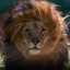 .waluk's avatar