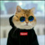 amir_ali_s