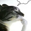 RatYo