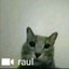 raul