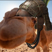 ccamel