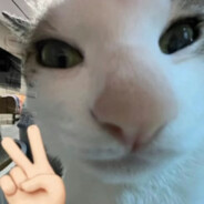 要记住将军的恩情