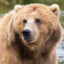 Kodiak
