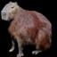 capybara gaming