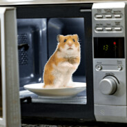 HamsterInAMicorwaveskins.army