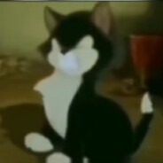 گربه متجاوز