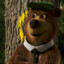 Yogi The Bear