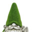 Rare Green Gnome