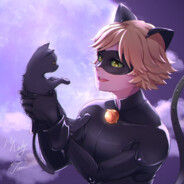 Cat Noir
