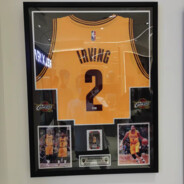 菲菲常美丽的巨兔12138