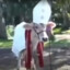 The Holy Cow