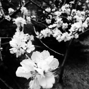 长枪沾屎戳谁谁死🦎