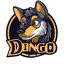 diNGo
